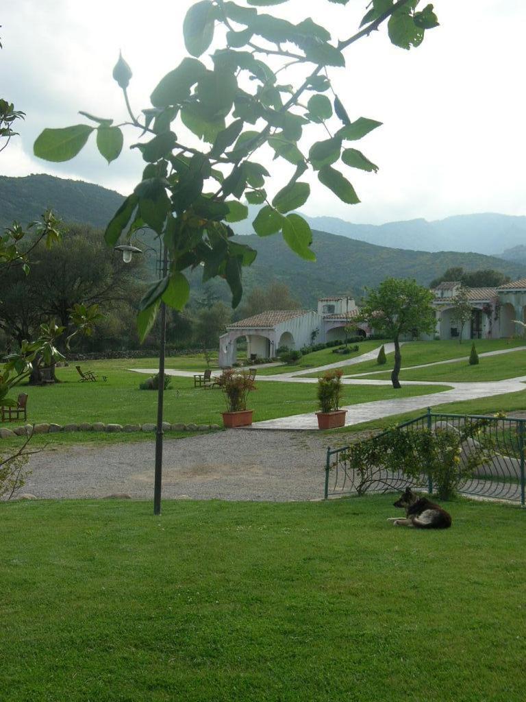 Tenuta Le Terre 1927 Guest House San Teodoro  Exterior photo