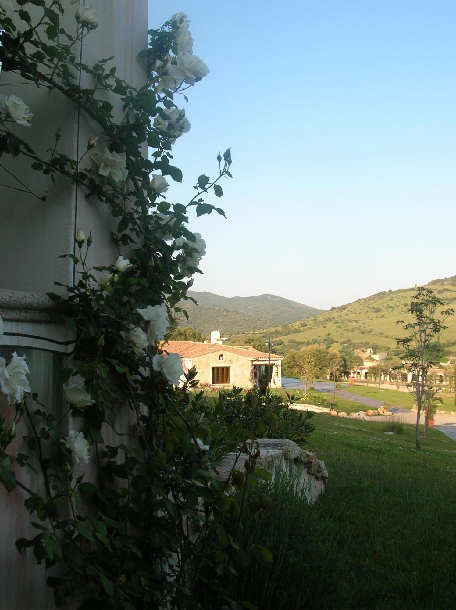 Tenuta Le Terre 1927 Guest House San Teodoro  Exterior photo