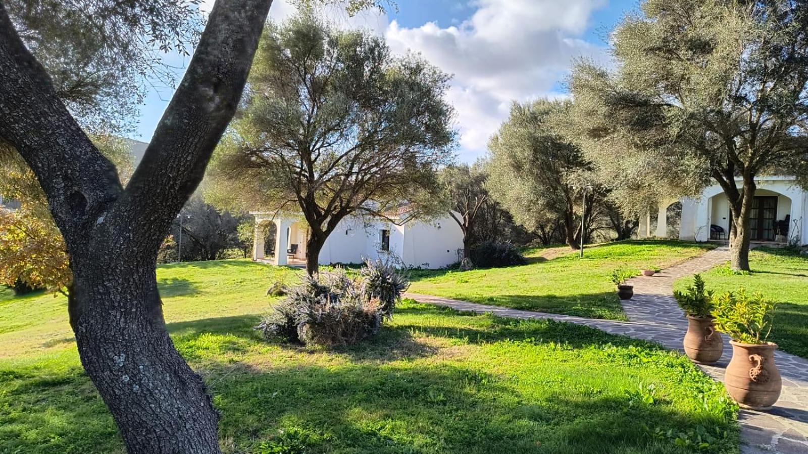 Tenuta Le Terre 1927 Guest House San Teodoro  Exterior photo